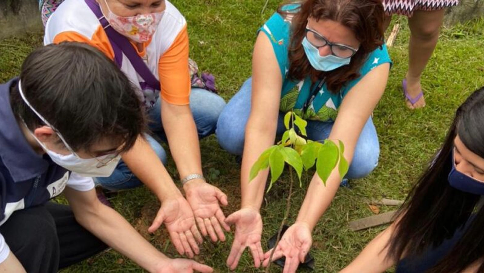 Mais de 1,6 mil árvores plantadas em Manaus pelo Projeto Galho Forte