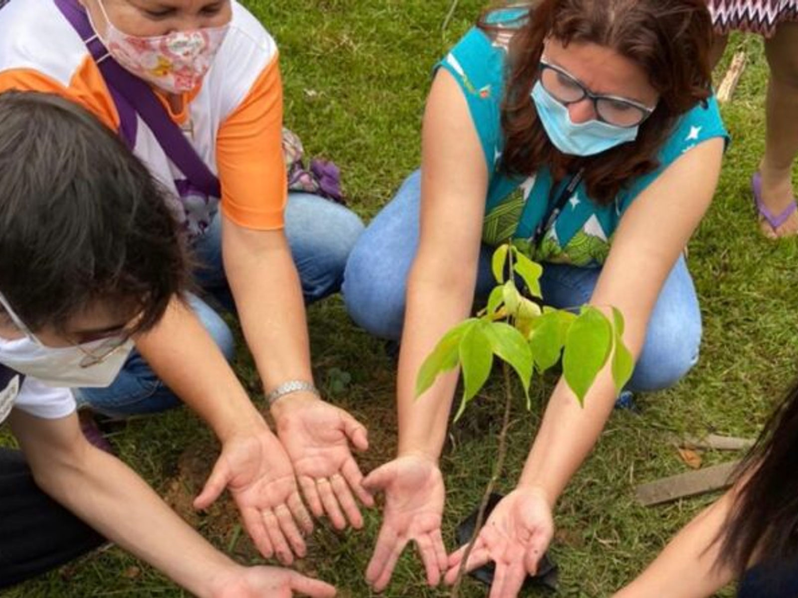 Mais de 1,6 mil árvores plantadas em Manaus pelo Projeto Galho Forte