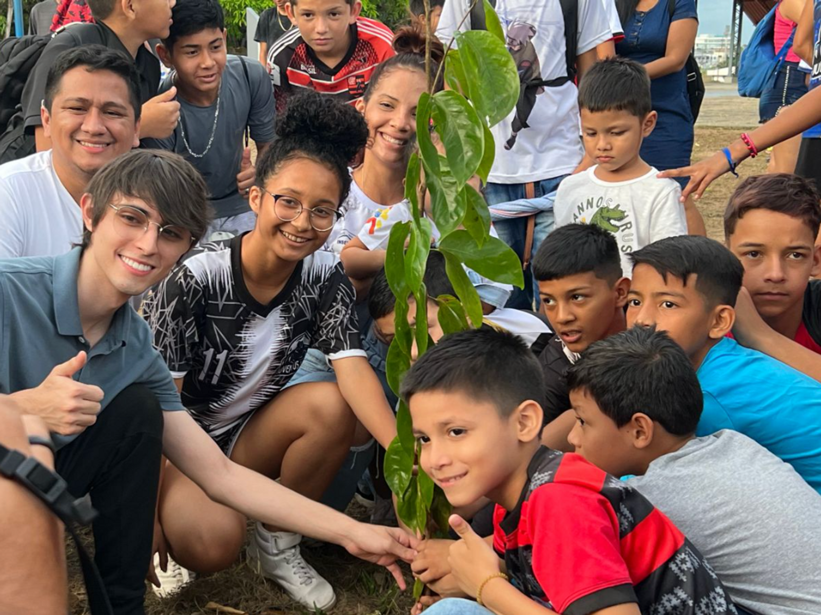 Galho Forte supera marca de 6 mil árvores plantadas em Manaus