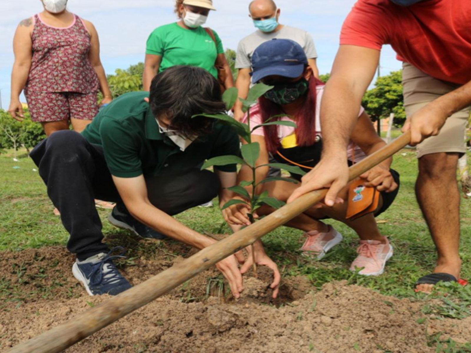 Projeto de Amom ultrapassa 7,5 mil mudas plantadas em Manaus