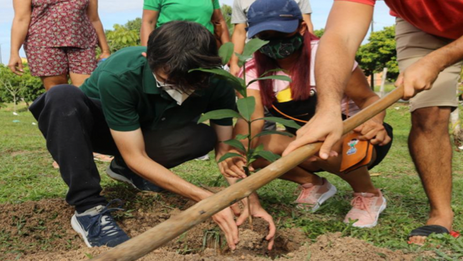 Projeto de Amom ultrapassa 7,5 mil mudas plantadas em Manaus